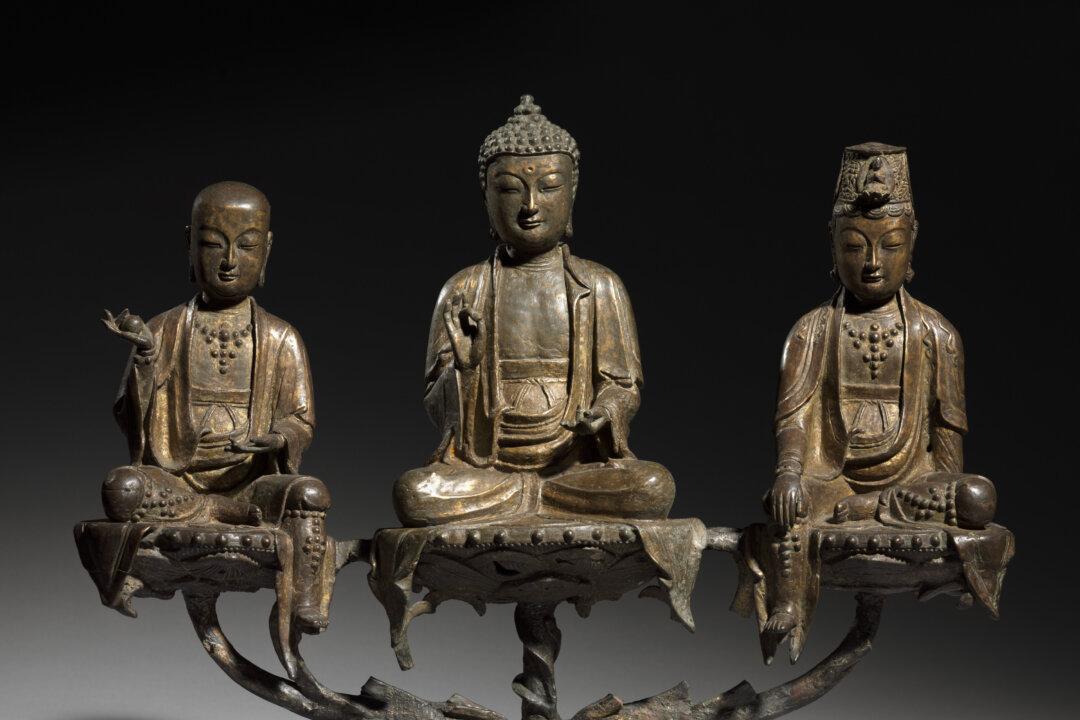 Behold the Beauty: A Glimpse of a Heavenly Paradise