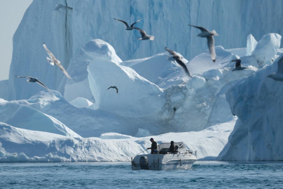 Willow Shrubs Grew in Greenland 500 Years Ago, on Land Long Covered by Glaciers