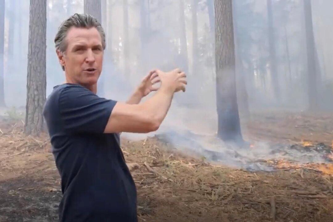 Newsom Champions Forest Management to Contain California’s Wildfires