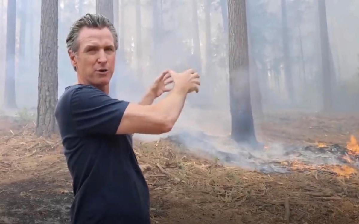 Newsom Champions Forest Management to Contain California’s Wildfires