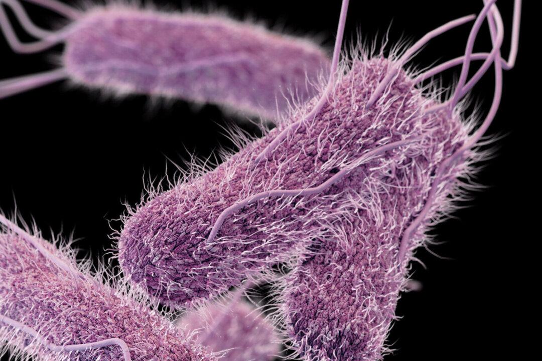 Salmonella Outbreak Linked to Ground Beef Spreads Across 4 States: CDC