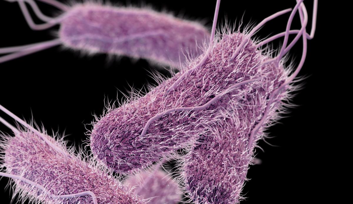 CDC Says Its Investigating Mysterious Salmonella Outbreak in 25 States