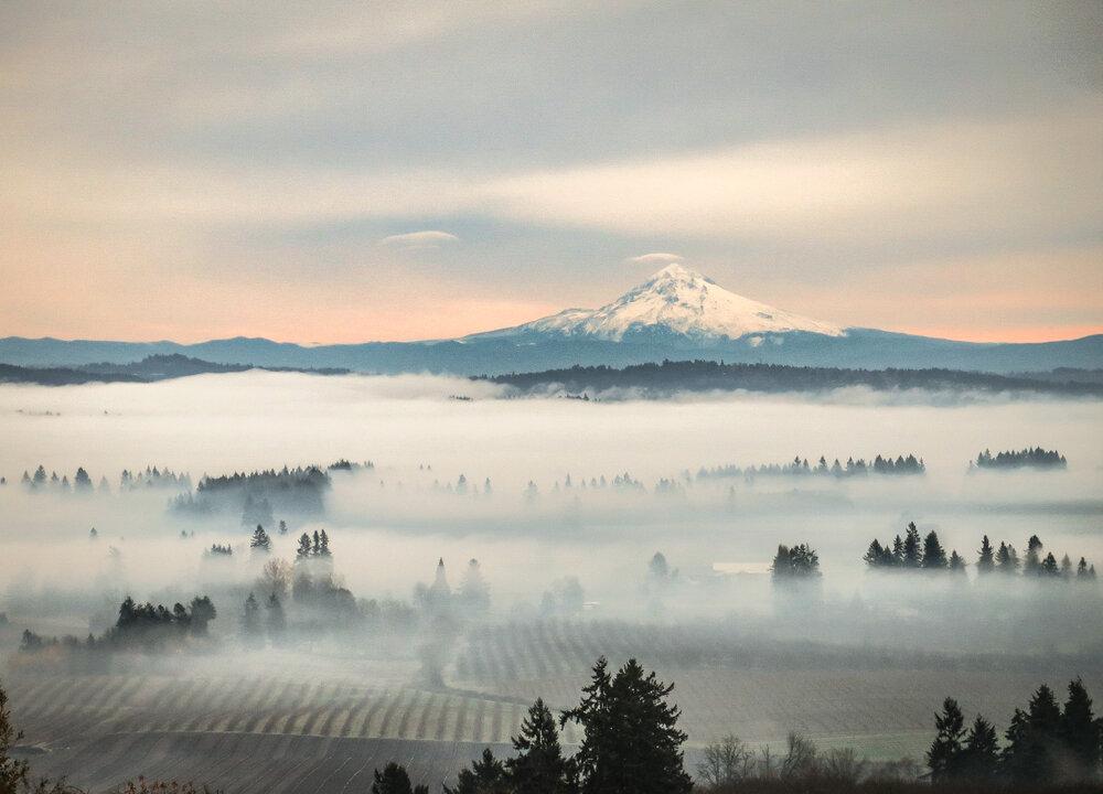 Oregon Wine Tour: Vineyards, Small Towns, and Adventure