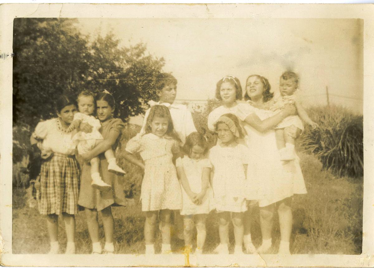The Family Table: Summer Memories of an Italian-American Jersey Farm Girl