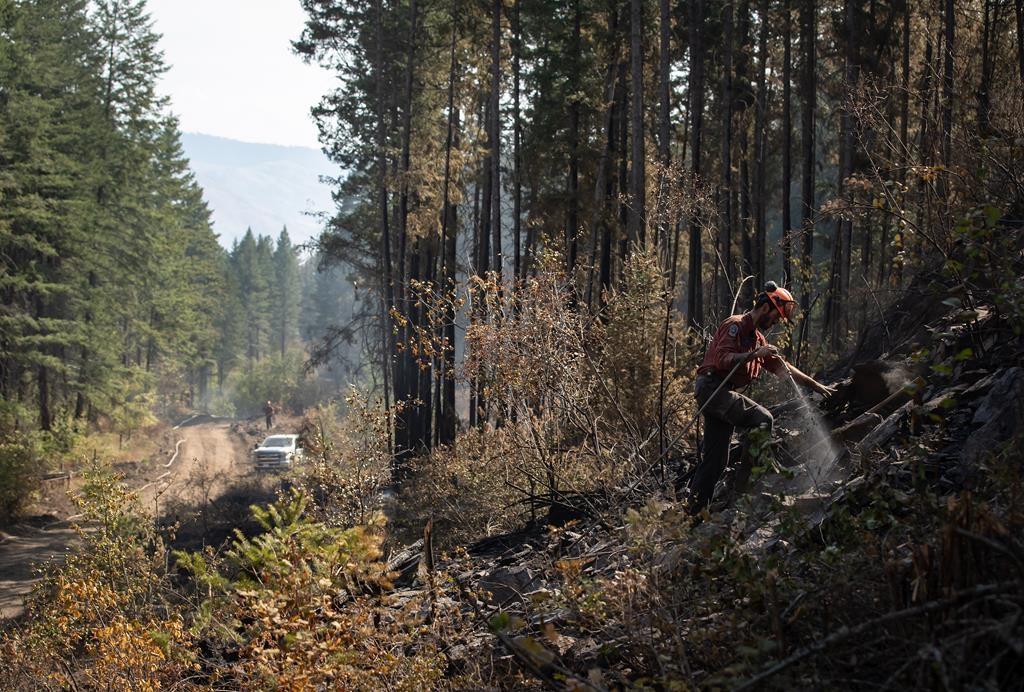 Two Major Wildfires in B.C.’s Southern Interior Now Classified as ‘Being Held’