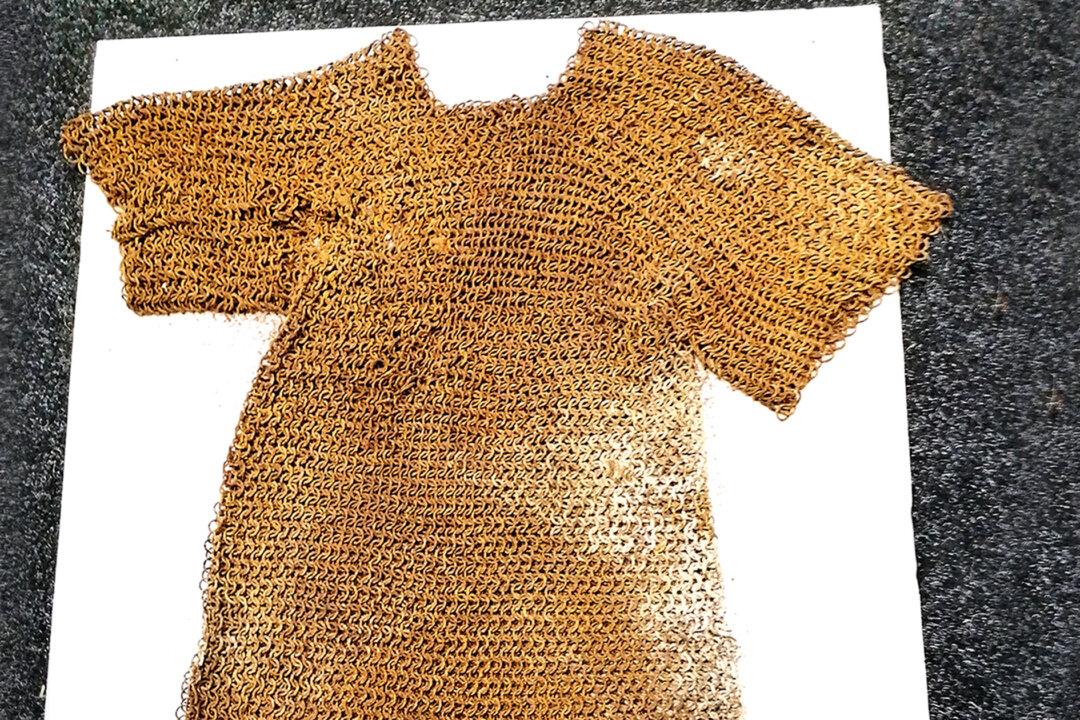800-Year-Old Medieval Chain Mail Vest From Norman Period Discovered in Longford, Ireland