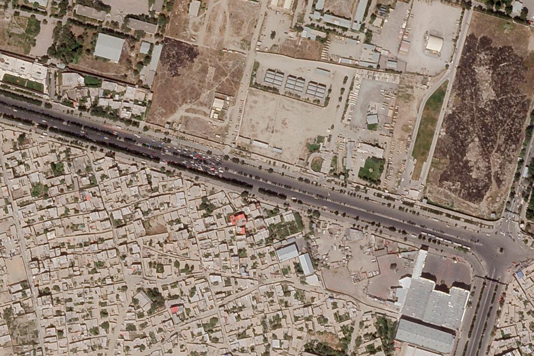 Ex-UK Marine Leaves Kabul With Dogs, Cats but No Local Staff