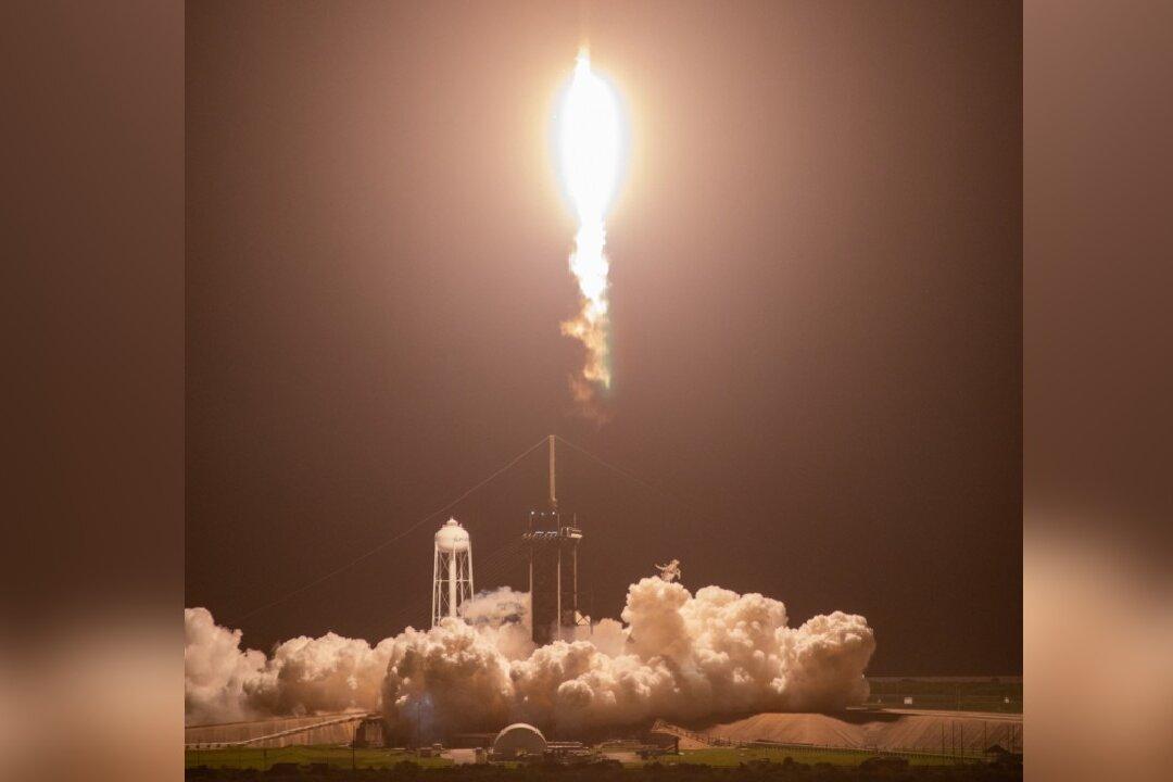SpaceX Launches Ants, Avocados, Robot to Space Station