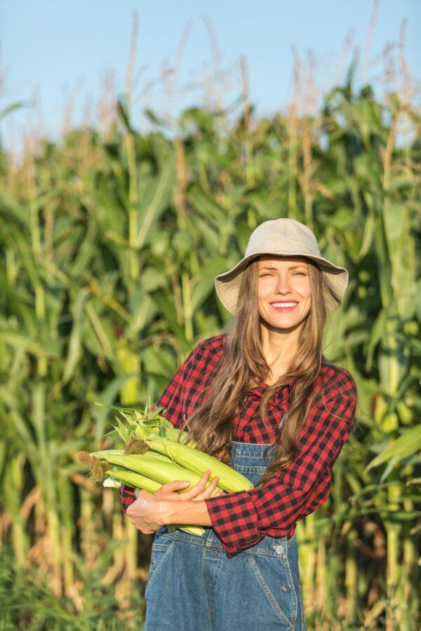 This time of year, the corn is sweet and fresh—especially when you get it straight from the farmer. Make a meal out of it. (Peppermint/Shutterstock)