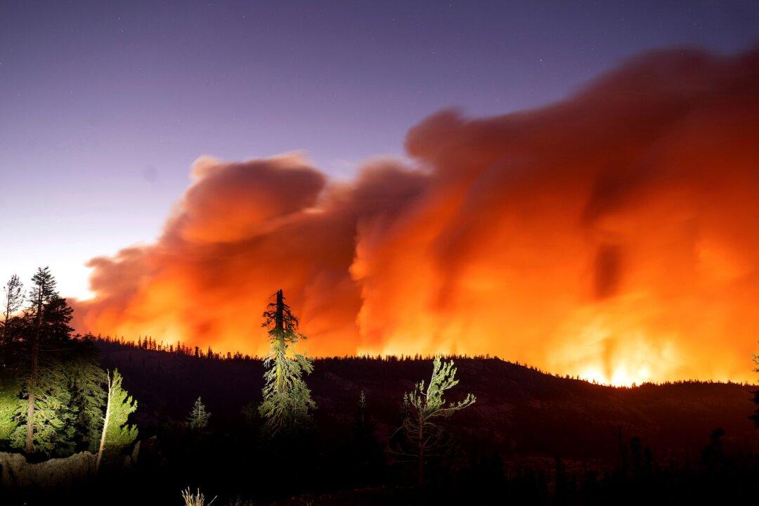 Climate Studies Show ‘Consensus’ Claims to Be Based on Bullying, Not Science