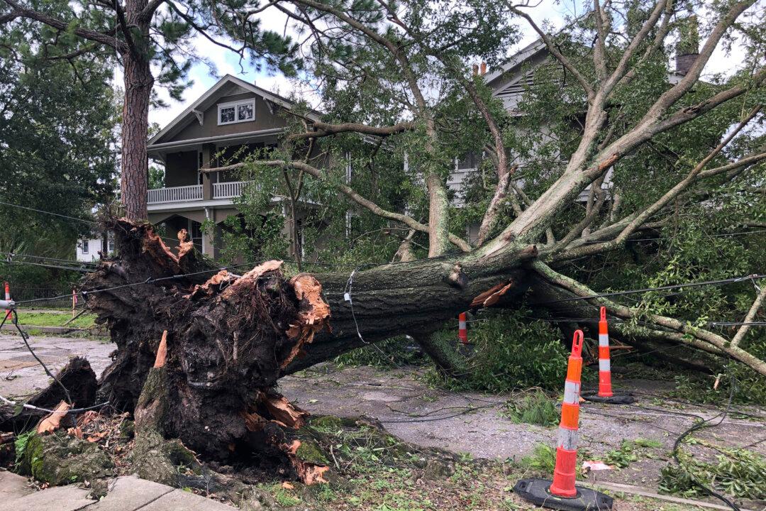 New Orleans Officials Warn Against Would-Be Looters, Tell Evacuees Not to Return After Ida