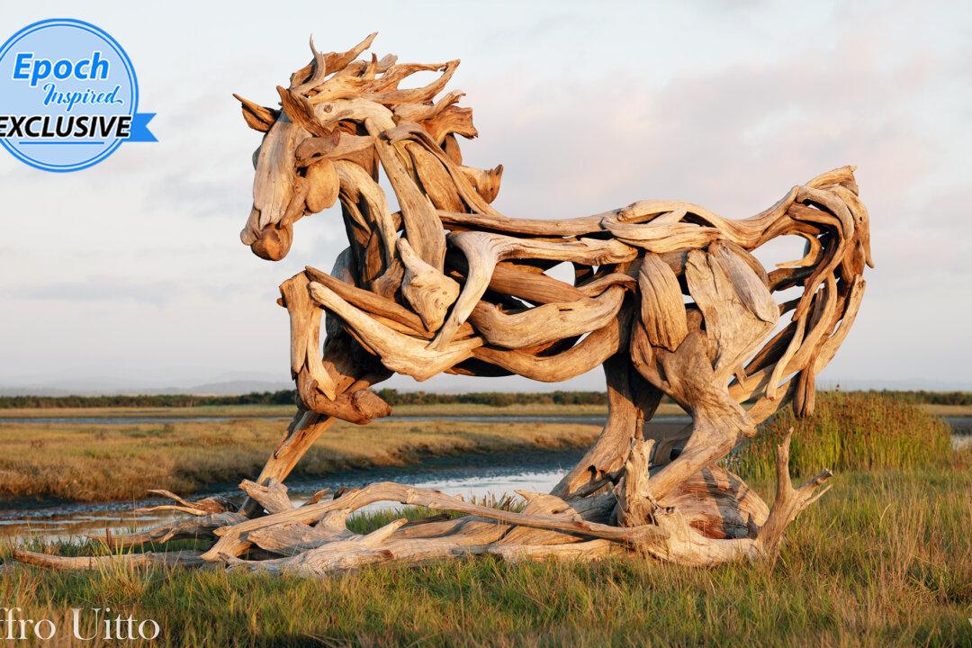 Artist Sculpts Stunning Leonardo-esque Horse out of Twisted Driftwood From the Ocean