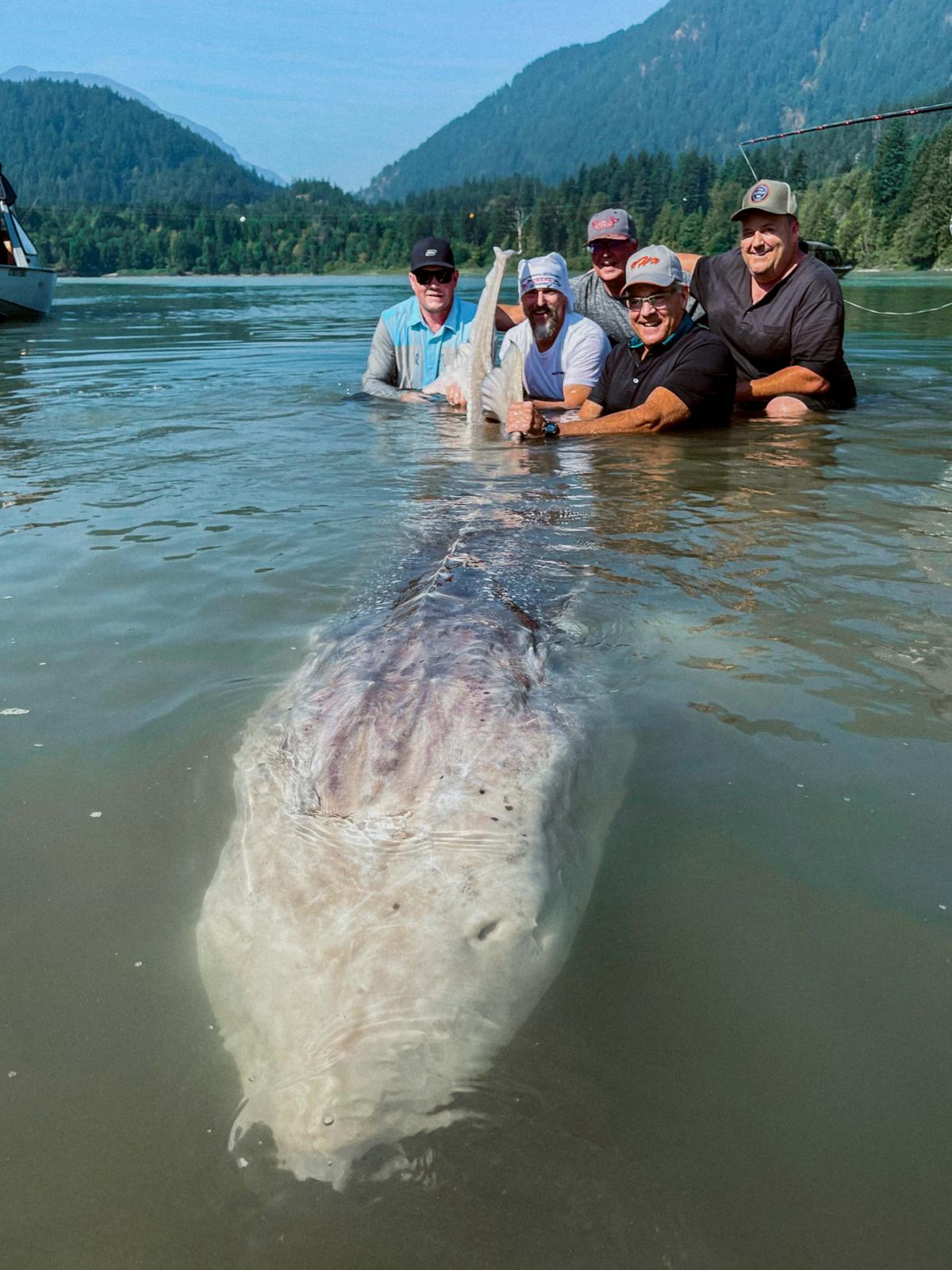 Kevin Estrada (L) and company pose with the monster sturgeon in the Fraser River Aug. 15. (Courtesy of <a href="http://www.sturgeonslayers.com/">Sturgeon Slayers</a>)