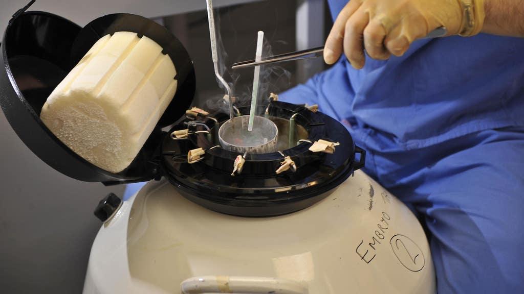 UK to Increase Storage Limit for Frozen Eggs, Sperm, Embryos to 55 Years