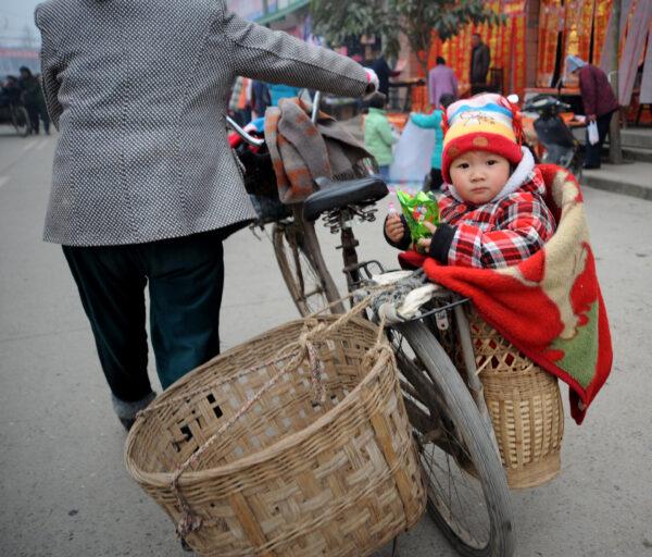 A baby gets a ride in a basket in Chengdu, China, on Jan. 16, 2009. (Photo by China Photos/Getty Images)