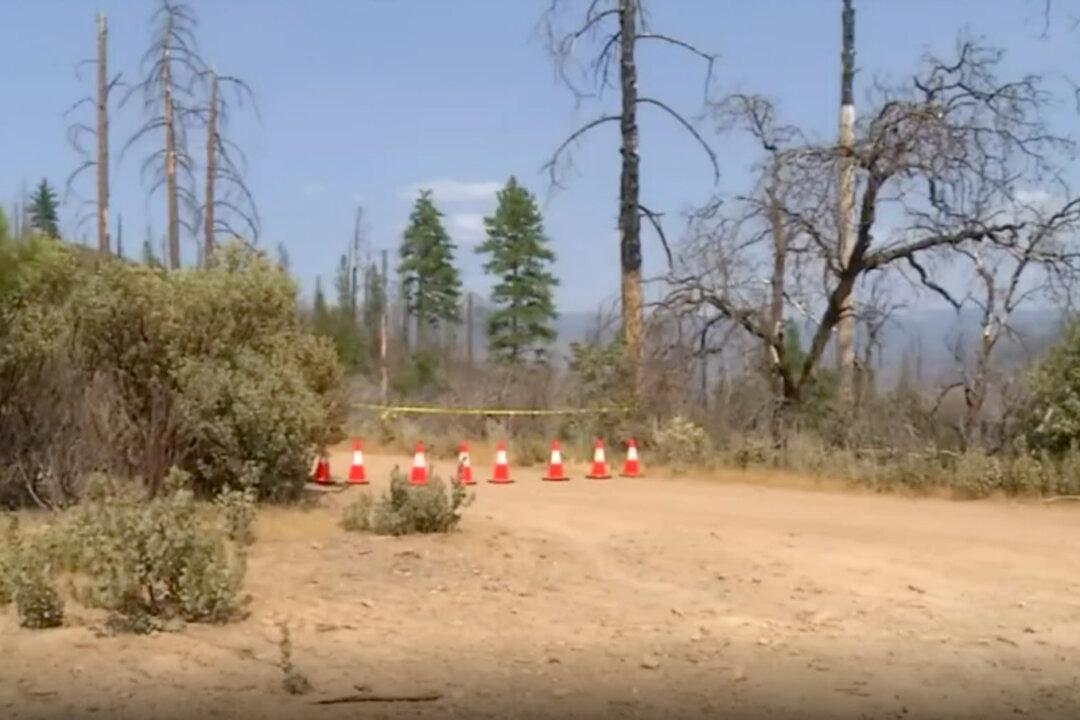 Authorities Close California River Where Family of Three Mysteriously Died