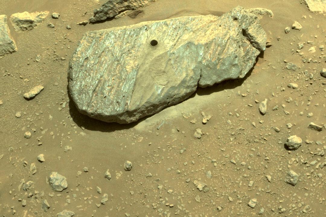 NASA Rover Perseverance Collects First Martian Rock Sample