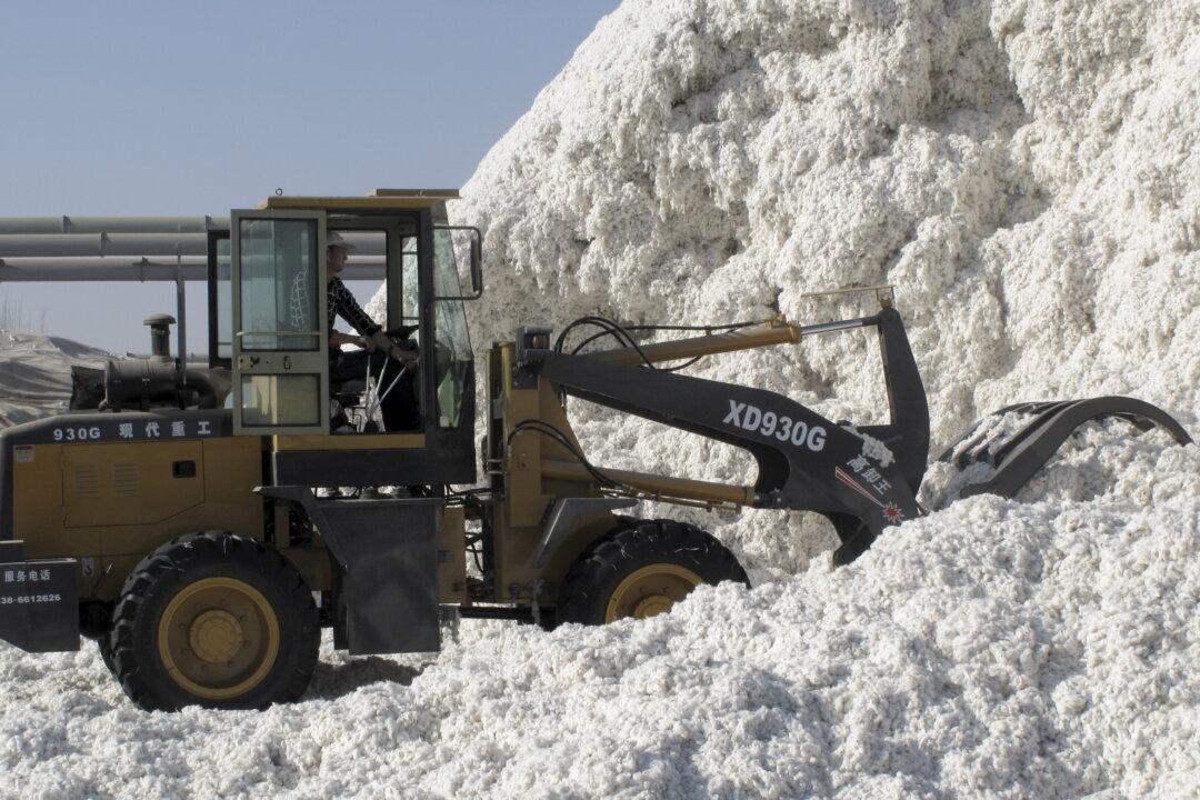 Cotton Prices Surge to Highest Levels in a Decade