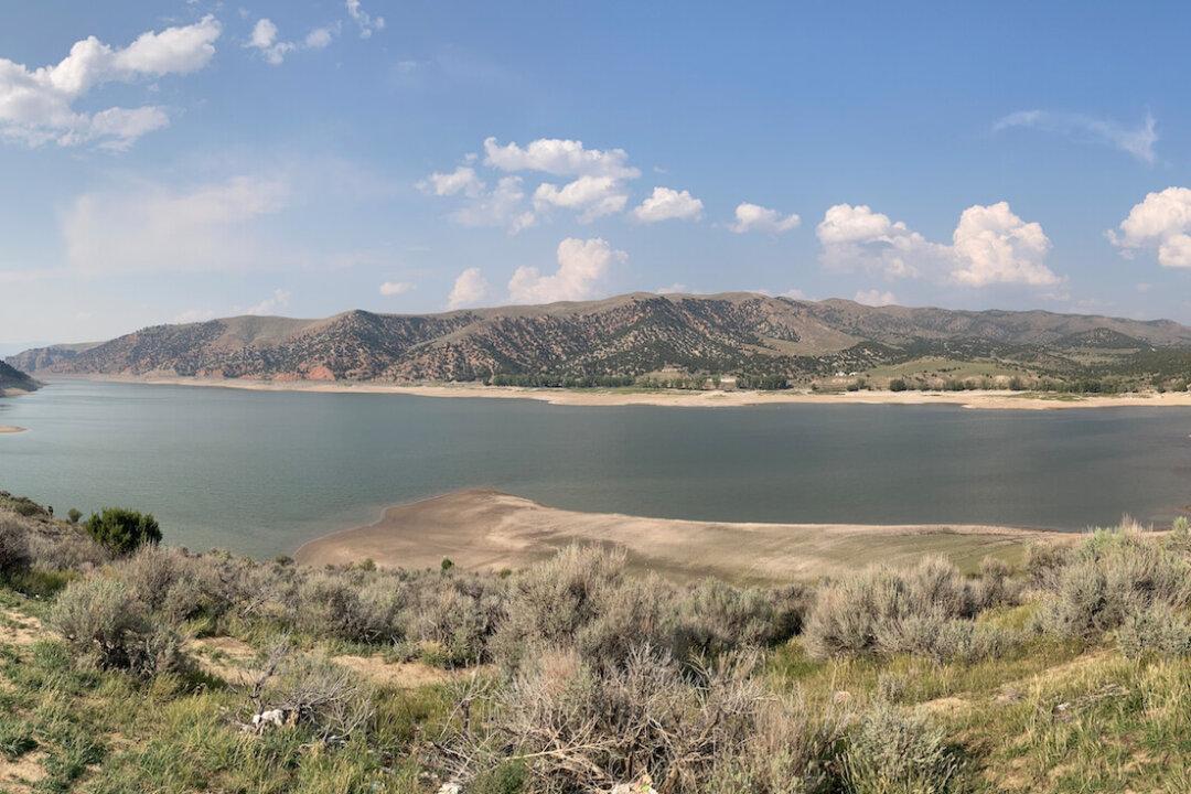 Persistent Drought and Above-Average Temperatures Expected in United States: NOAA