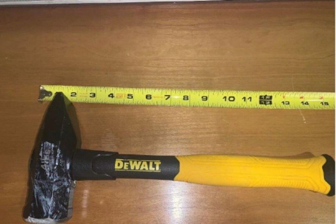 Texas Man Pleads Guilty to Striking Federal Officer With Hammer During Portland Riot