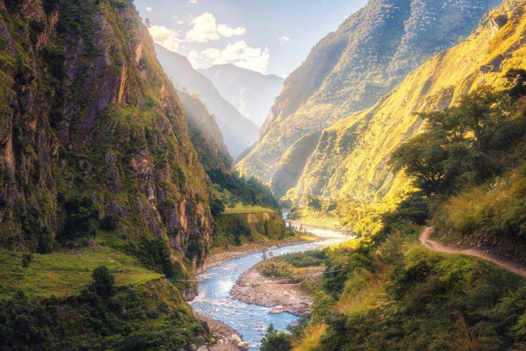 The Wisdom of Nature