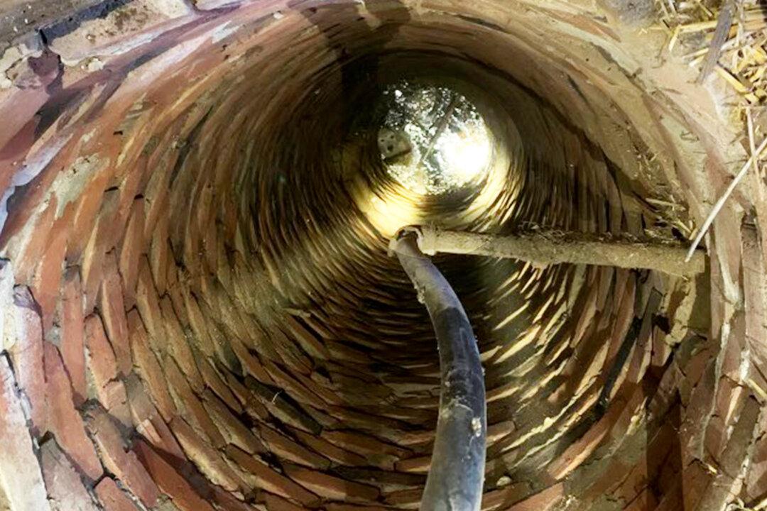 Senior Golden Retriever Falls Into Old Well, Is Trapped for 4 Hours—Until Firefighters Save the Day
