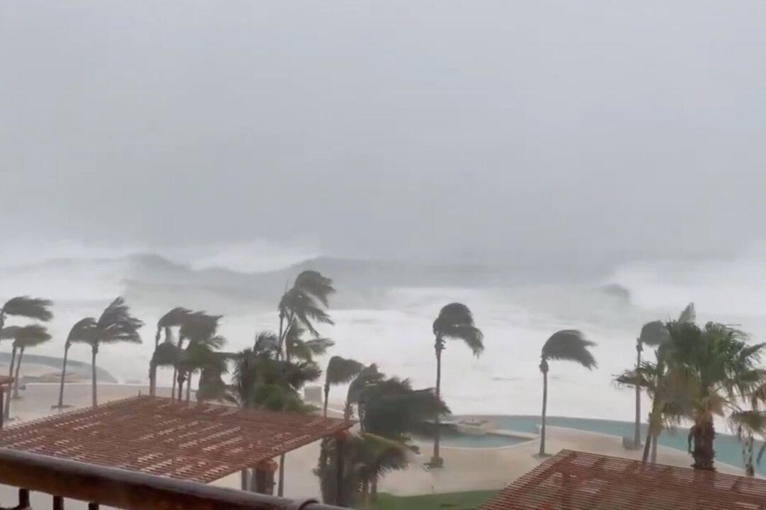 Olaf Weakens After Hitting Mexico’s Los Cabos as Category 2 Storm