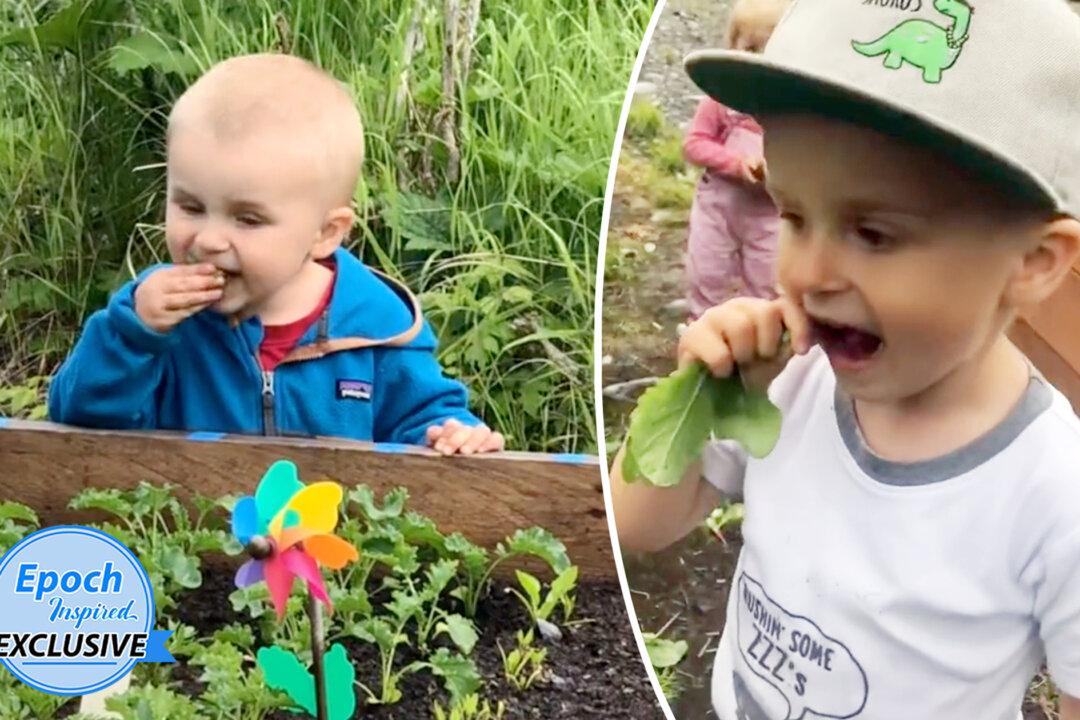 Video: Boy, 4, Eats Veggies Straight From the Garden, Has Amazing Memory for Food Facts