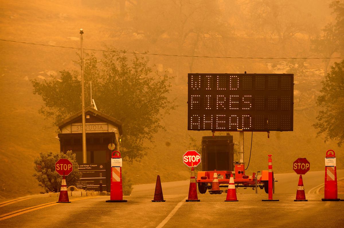 Lawmakers Push for Forest Management Reform After Deadly Blazes