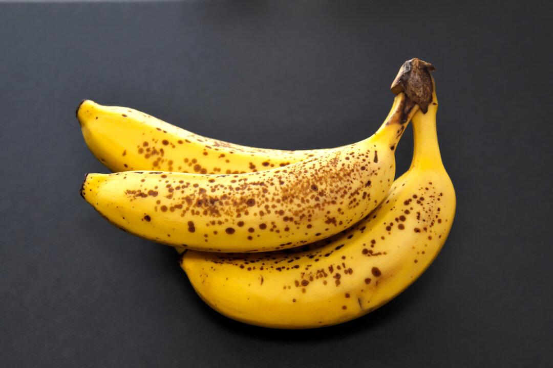 Banana Freckle Outbreak Grows in NT