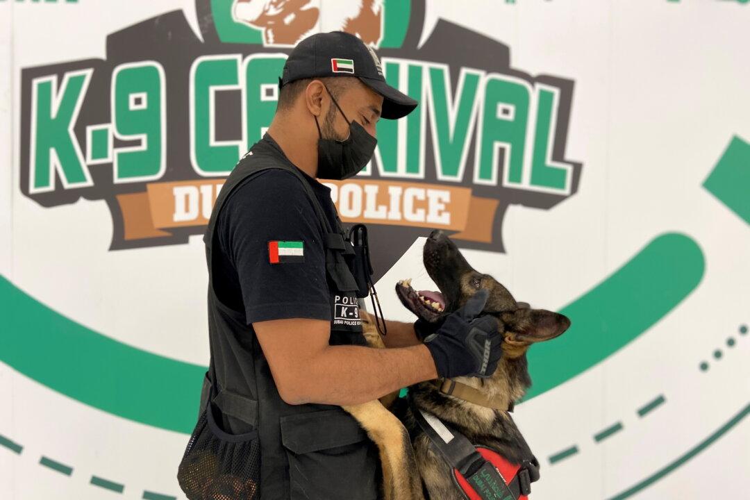 Led by the Nose: Meet the UAE’s COVID-19 Sniffer Dogs