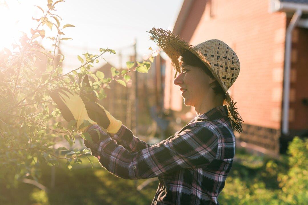 How to Live Intentionally