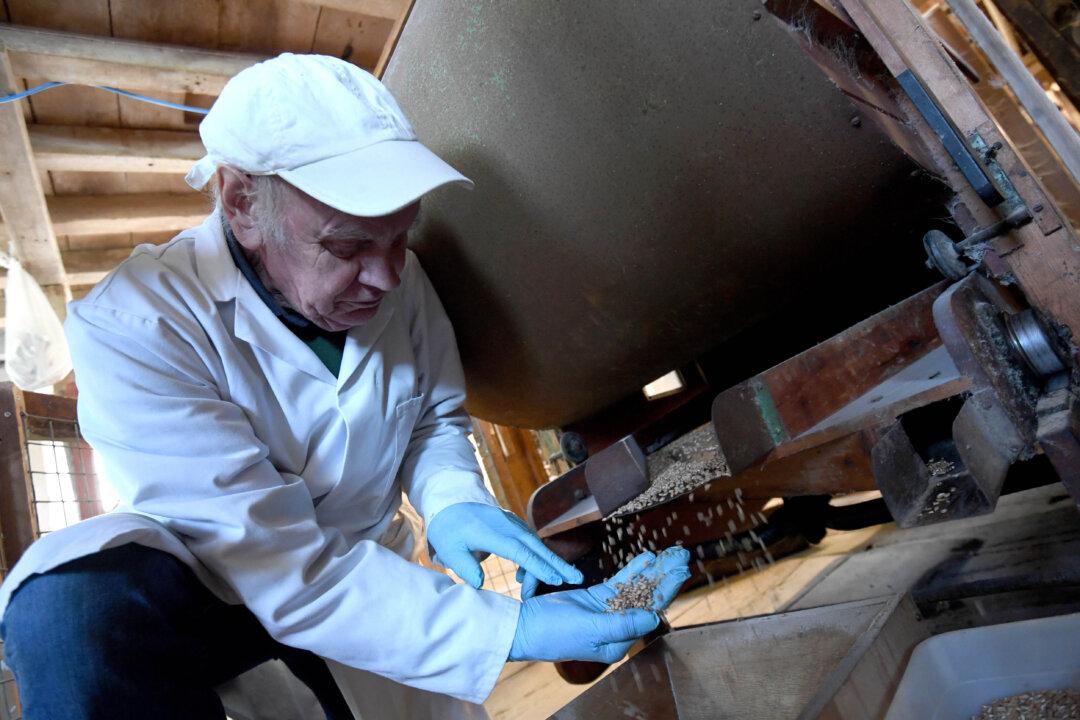 UK to Add Folic Acid to Non-Wholemeal Wheat Flour