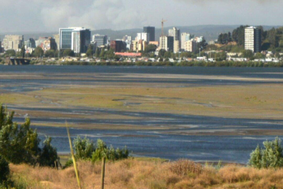 Magnitude 6.4 Quake Sways Buildings in Coastal Chile