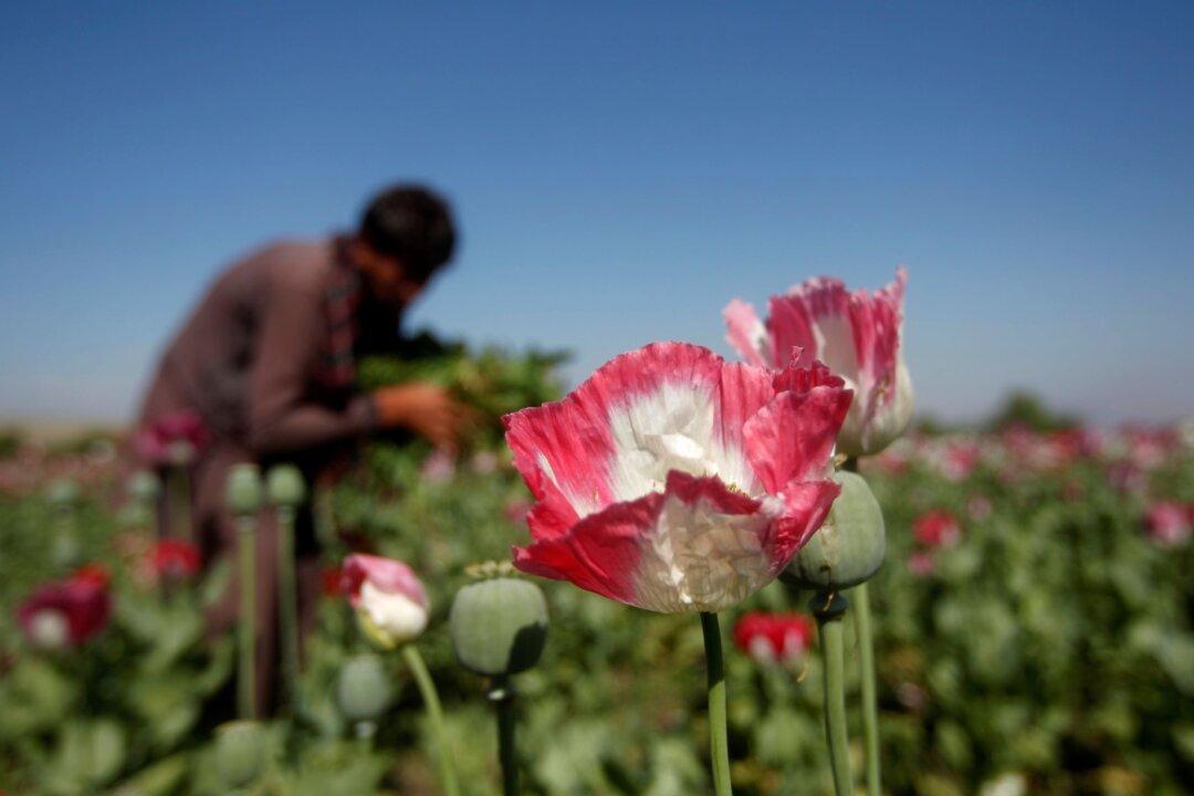 Some Restaurants in China Serve Food Laced With Opium, Despite Years of Crackdown