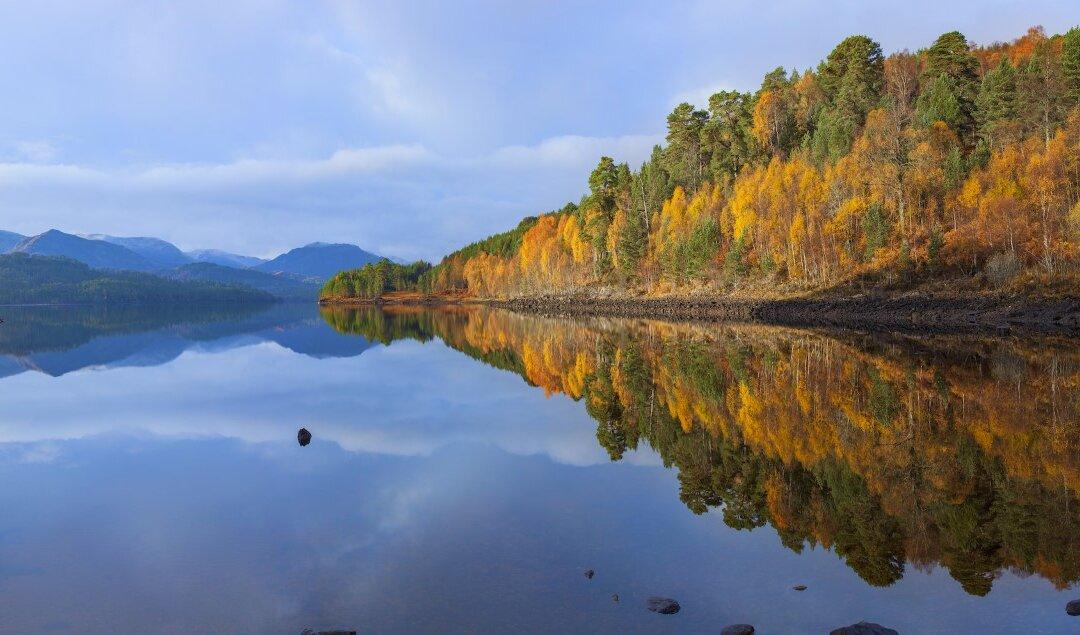 Rewilding Project for Half-a-Million Acres of Scottish Highlands Launched