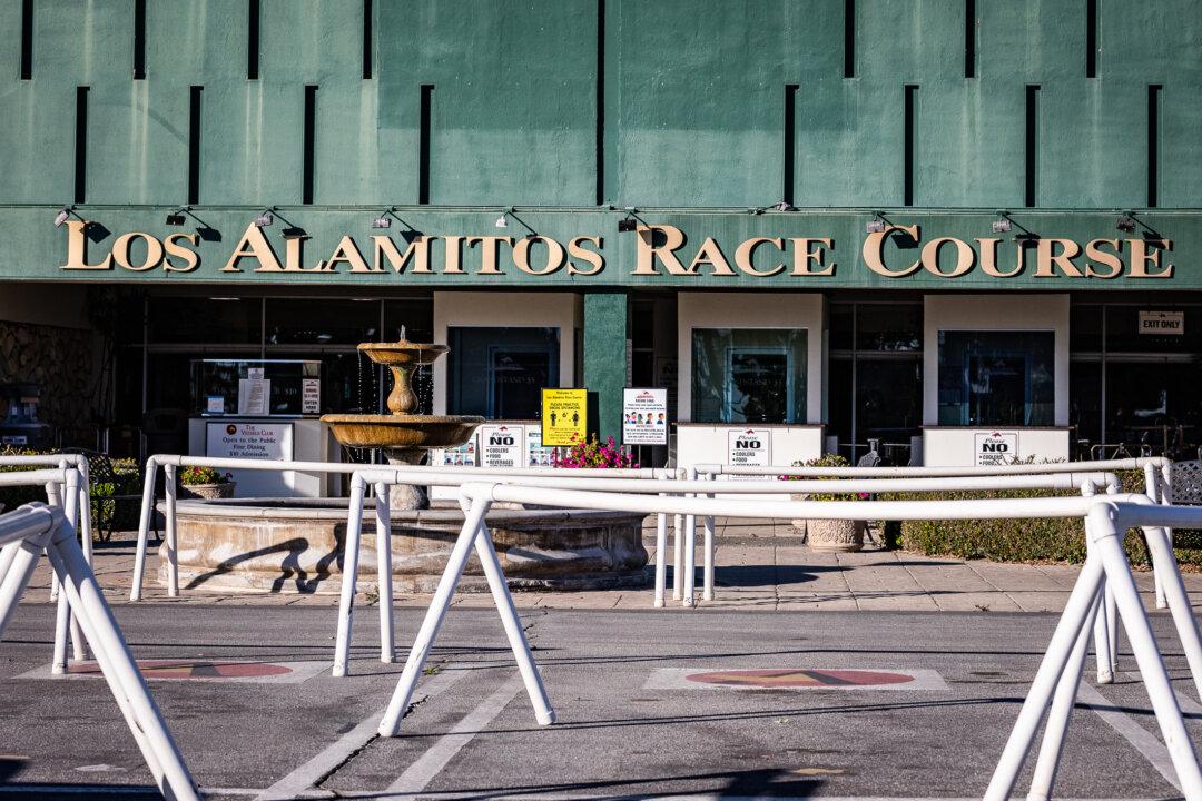 Horse Dies After Race at Los Alamitos; 2nd Death in Last 4 Days