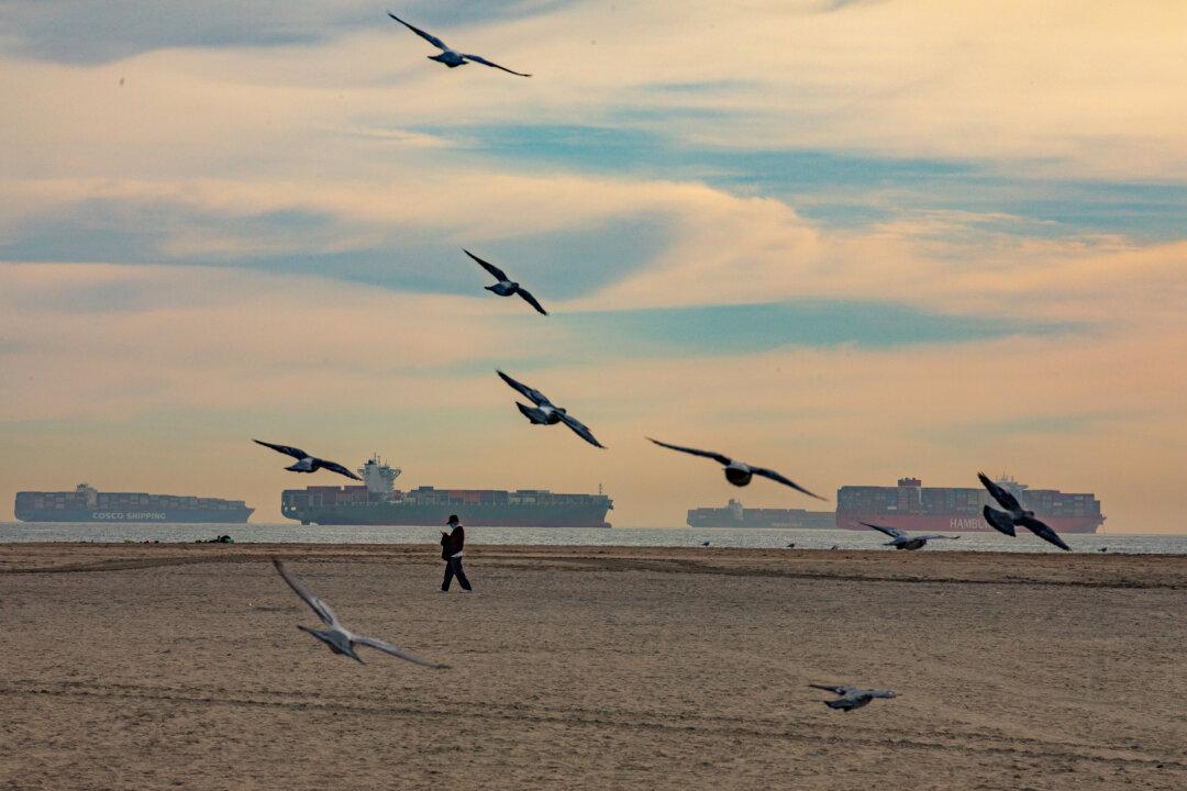 Los Angeles Cargo Ship Backlog Peaks, Supply Chain Issues to Last for Months
