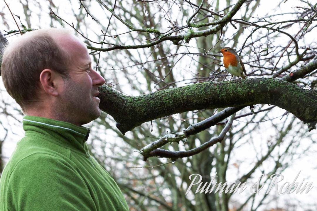 British Gardener Forms an Incredible and Unbreakable Bond With a Robin