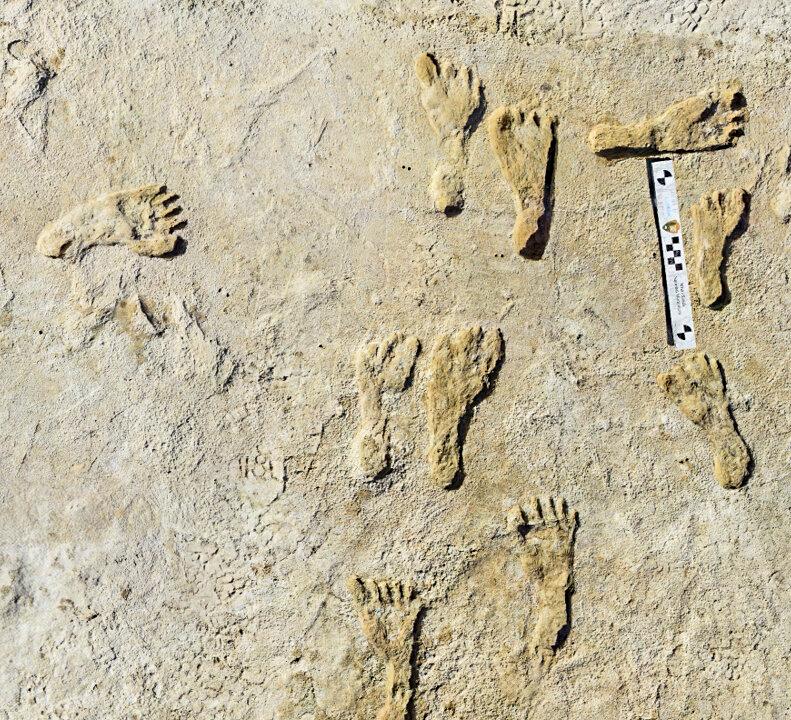 South African Human Fossils More Than a Million Years Older Than Previously Thought