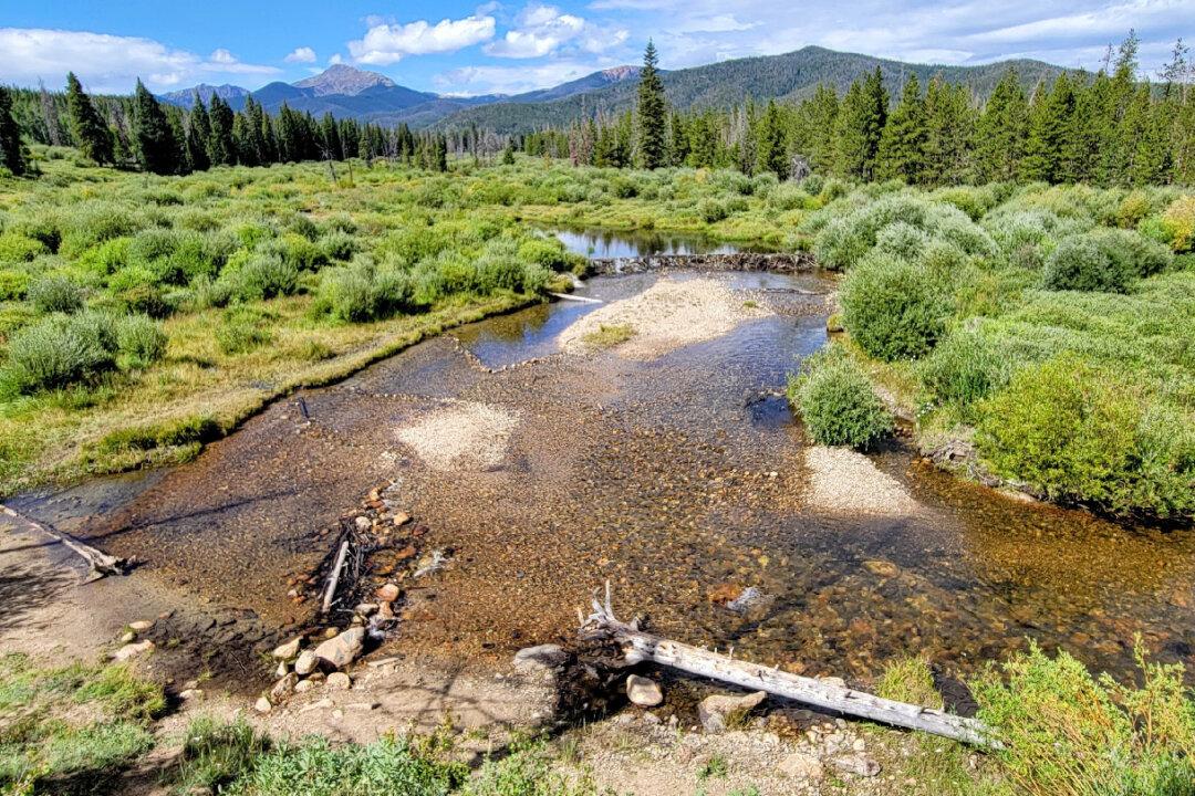 A 75th Birthday Hike With Smokey Bear