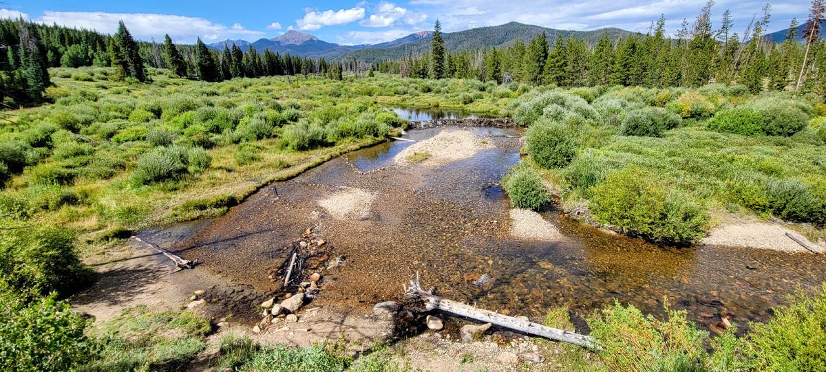 A 75th Birthday Hike With Smokey Bear