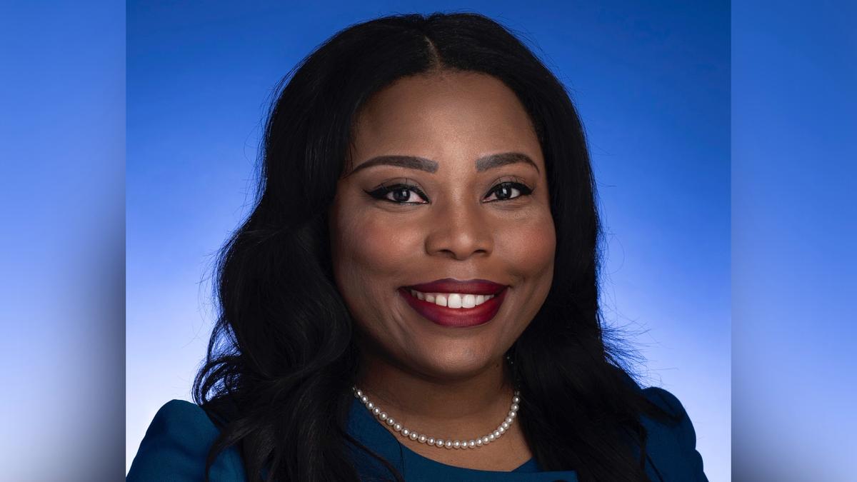 Ousted Tennessee Senator Sentenced to Probation for Fraud