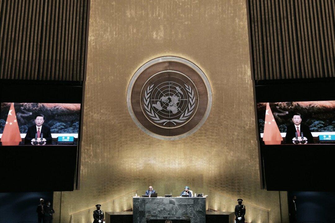 IN-DEPTH: UN Seeks Vast New Powers for Global Emergencies