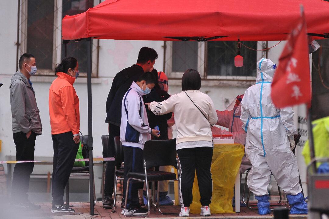 Pet Cats Killed in Chinese City After COVID Infection, Triggering Social Media Anger