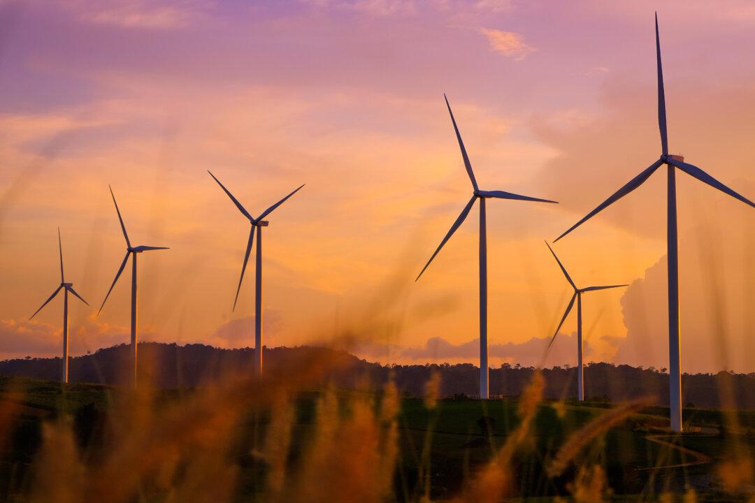 NSW Aims to Halve Emissions by 2030 as Energy Concerns Mount