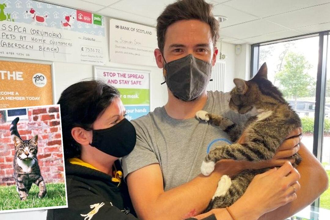 Beloved Pet Cat Reunited With His Family After He Went Missing for 10 Years in Scotland