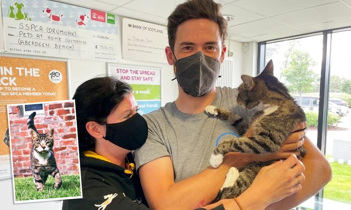 Beloved Pet Cat Reunited With His Family After He Went Missing for 10 Years in Scotland