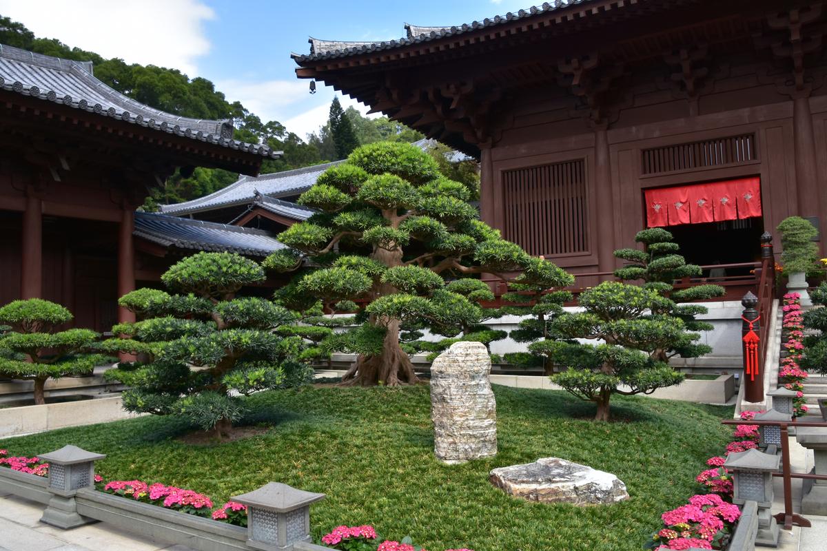 Black Pine bonsais establish the setting for the main hall. (Richard Mortel/ CC BY-SA 2.0)