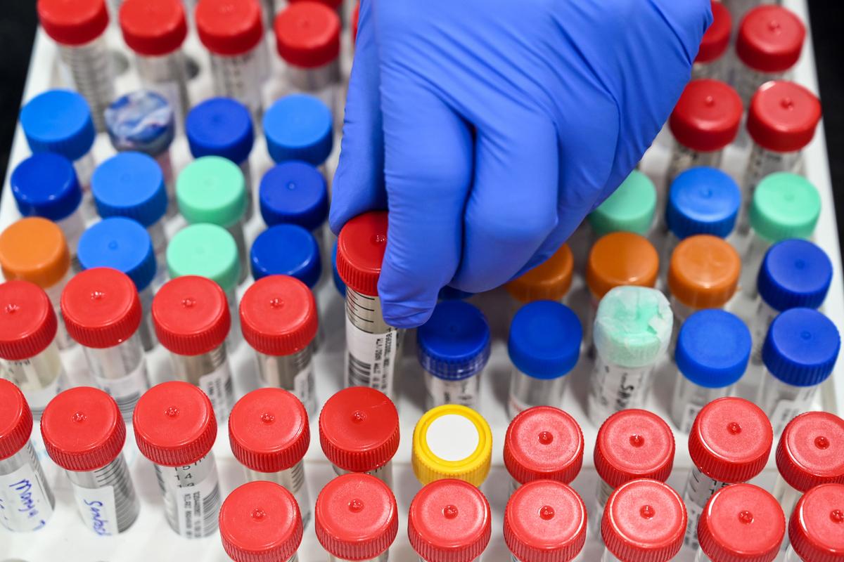 Creating Pandemic Panic: A Simple Meat-and-Potatoes Recipe